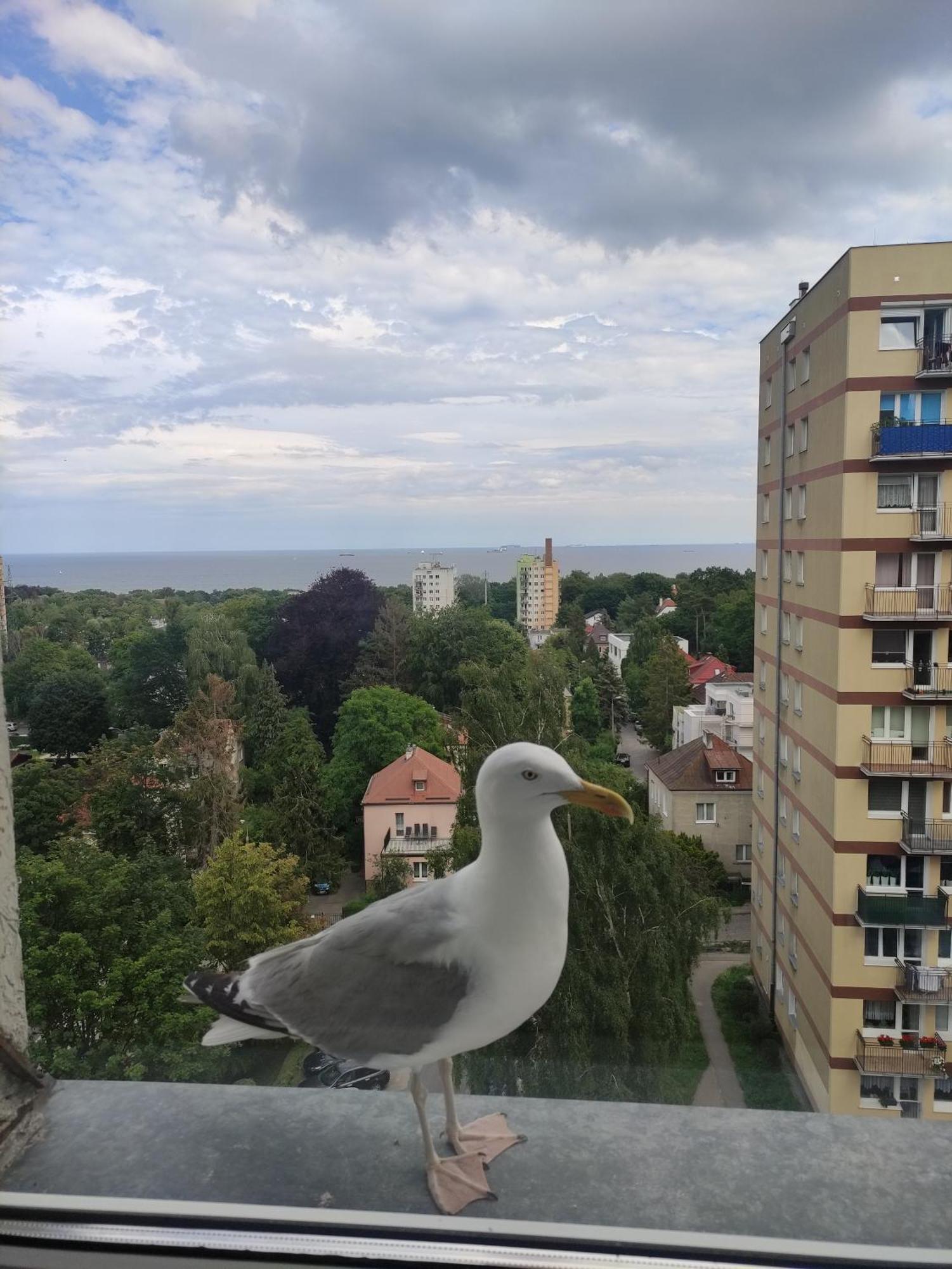 Apartament Widokowo Apartment Sopot Luaran gambar